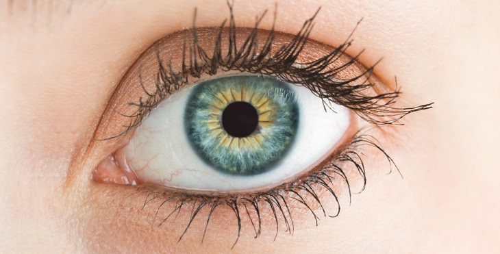 5 Nutrients You Need to Help Your Eyes Stay Young