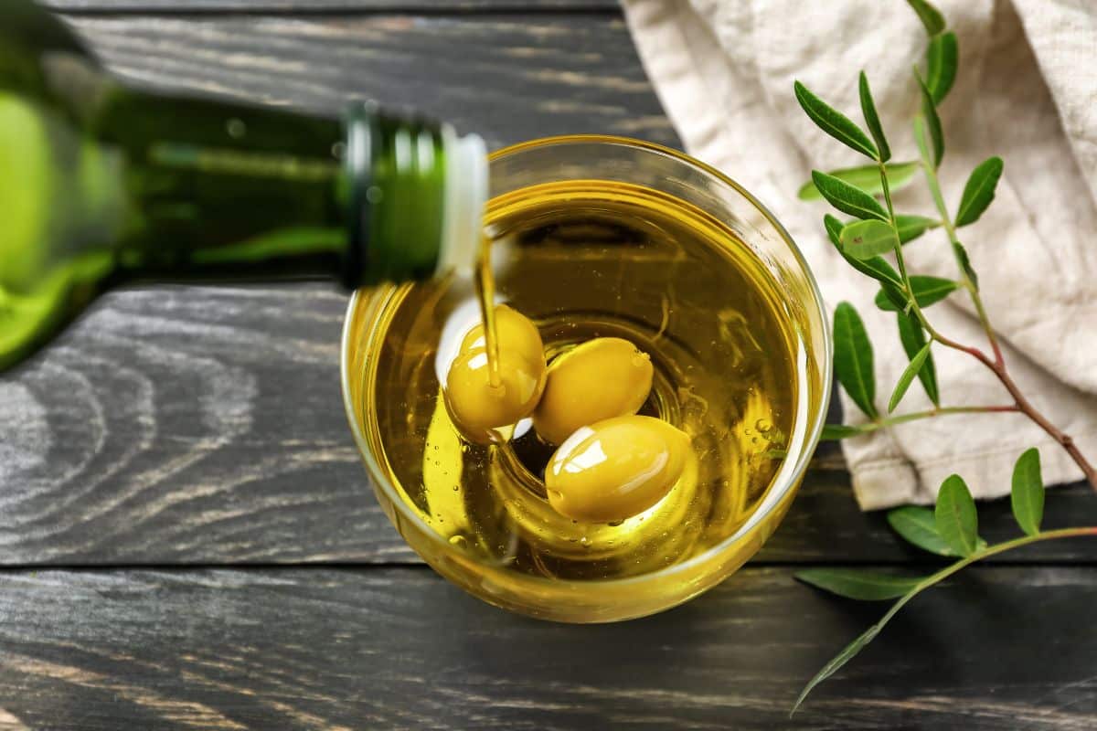 What plants not to use neem oil on ?