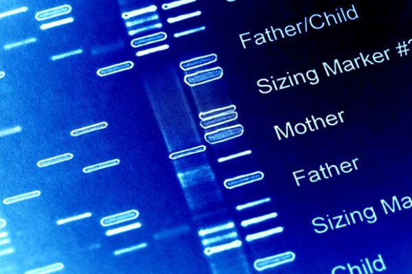 New technology embeds unique genetic identifiers in engineered cells