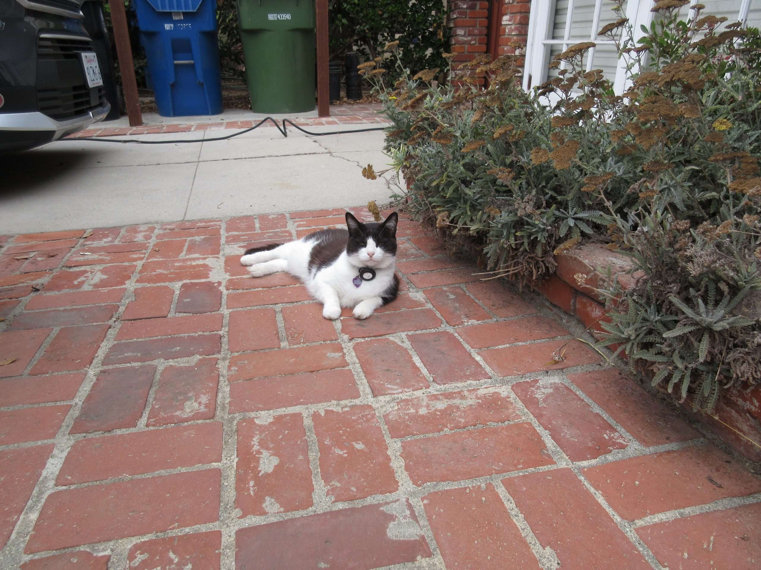 Wordless Wednesday: Transition to Fall