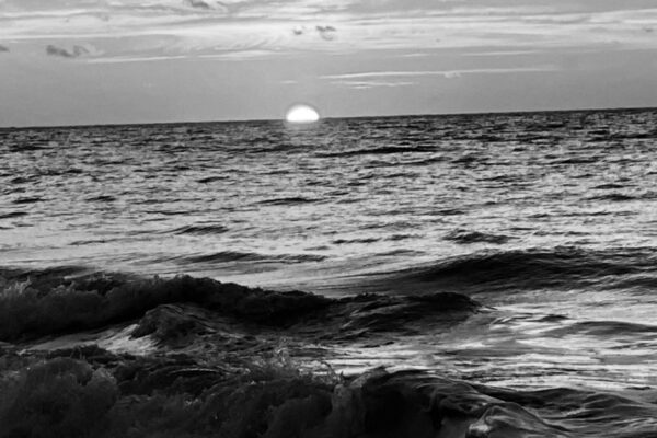 Dr. M’s SPA Newsletter Audiocast Volume 12 Issue 43 –