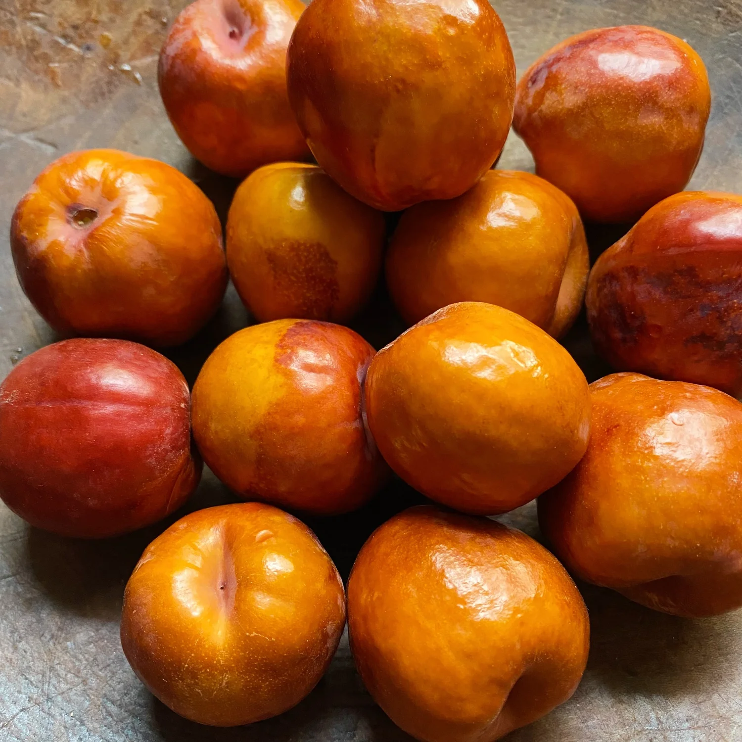 Bite Into This Unique Fall Fruit — Organically Grown Company