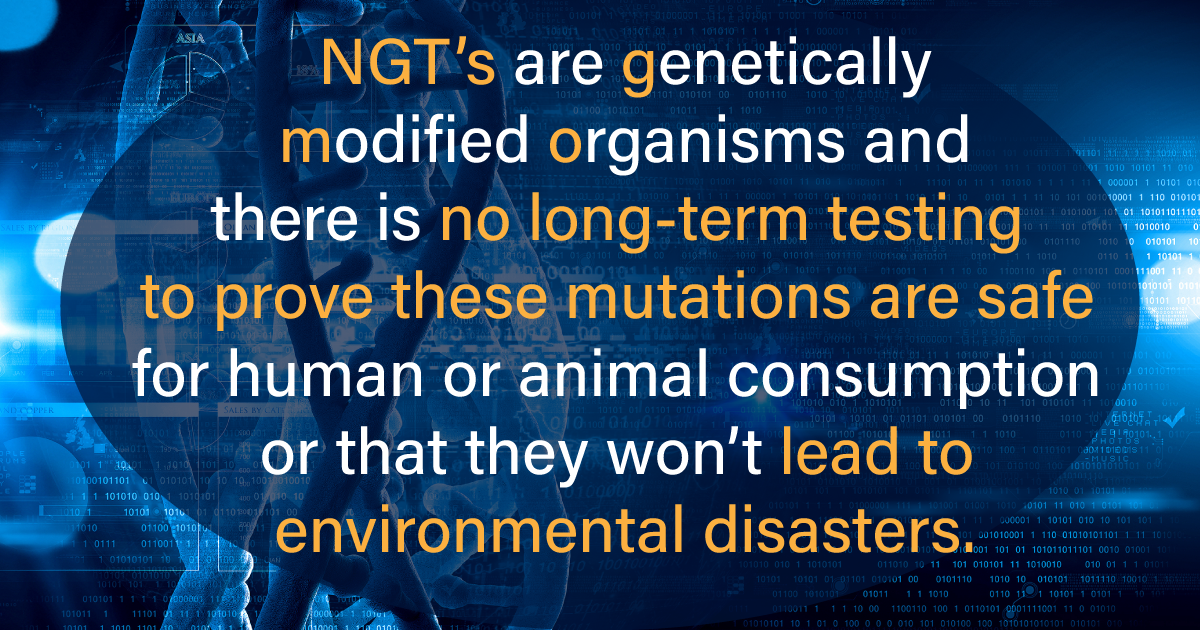 Response to “Neither Conventional nor GMO Article. What’s the Place of ‘New Genomic Techniques’ in Organic Agriculture?”