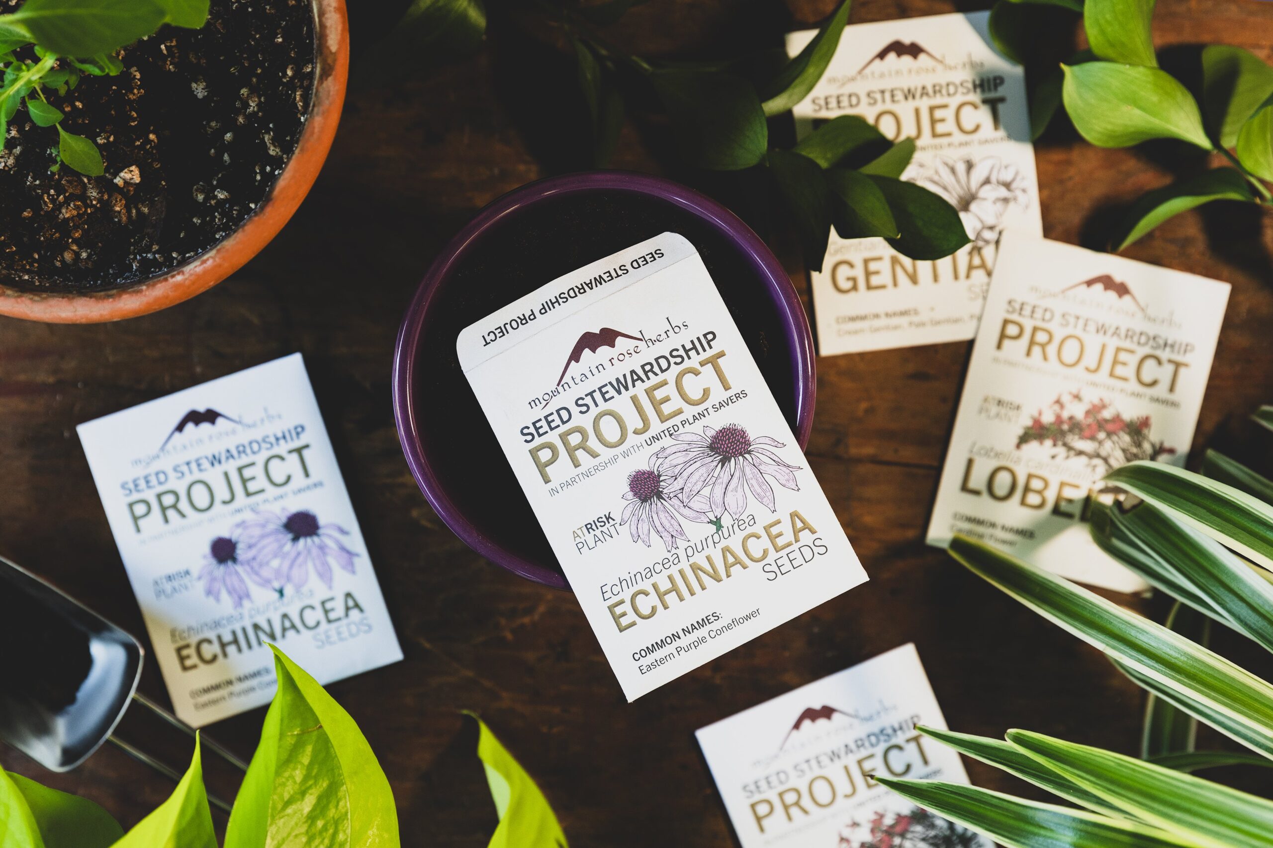 Mountain Rose Herbs Customers Plant 35.5 Million Seeds for the Future