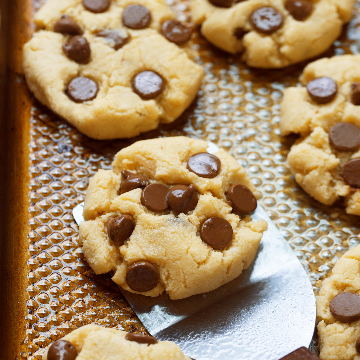 Sugar Free Cookies – The Best Recipe! (No Sugar Required)