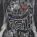 UCLA scientists uncover the role of DGRs in structuring the infant gut microbiome