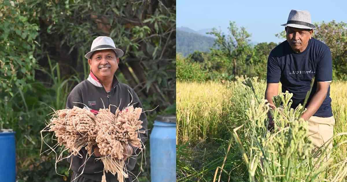 High-Yield Organic Wheat Narendra-09 & Sugarcane Farming Innovation by Uttarakhand Farmer