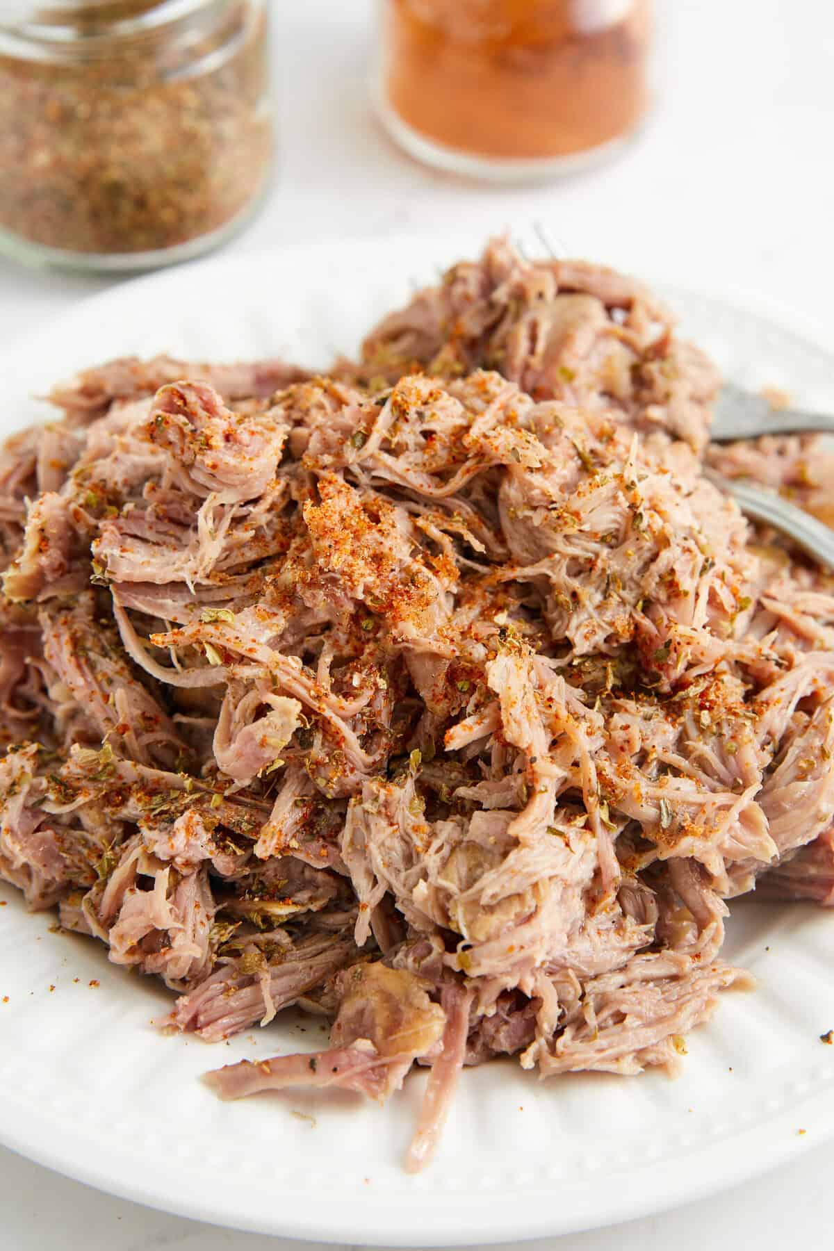 Carnitas Seasoning – Food Faith Fitness