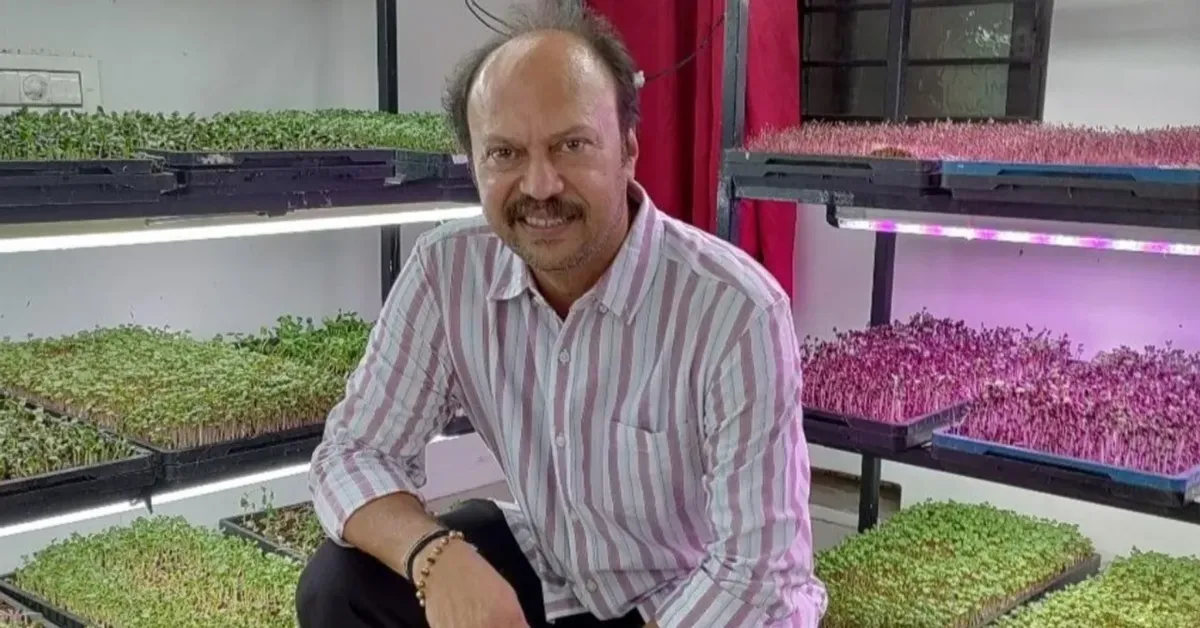 Ex-Banker Grows Microgreens in 80 Sq Ft at Home, Earns Rs 5 Lakh/Month