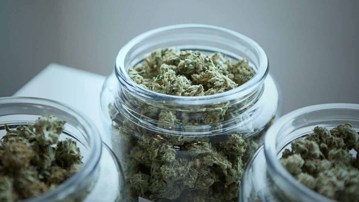 Data backs Vertanical’s cannabis therapy for back pain