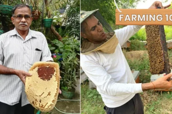 Farmers Share Step-by-Step Guide to Start With Rs 5000