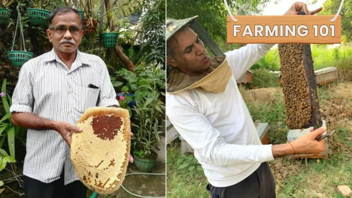 Farmers Share Step-by-Step Guide to Start With Rs 5000