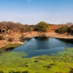 A 1000-Year-Old Stronghold of Battles, Queens & Forgotten Legends