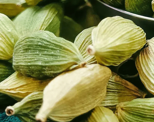 5 Indian Spices With Ancient Roots That Still Shape Our Meals Today