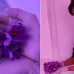 How a 22-Year-Old is Earning Lakhs via Aeroponics