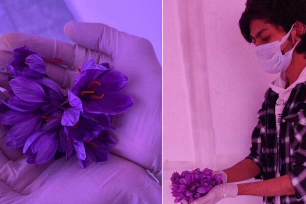 How a 22-Year-Old is Earning Lakhs via Aeroponics How a 22-Year-Old is Earning Lakhs via Aeroponics