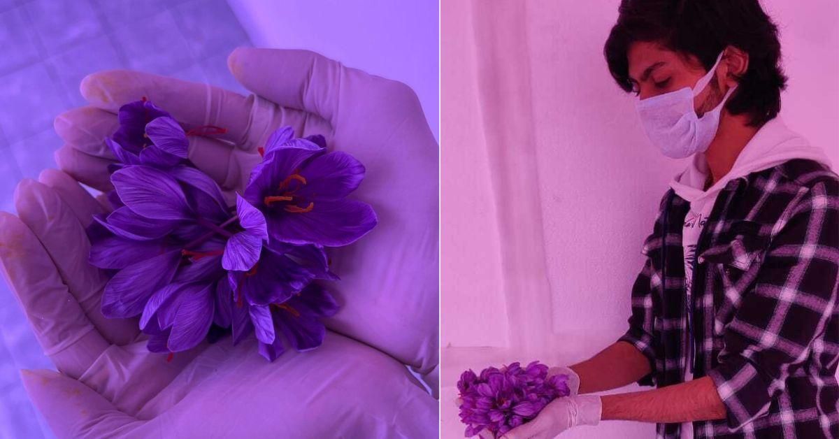 How a 22-Year-Old is Earning Lakhs via Aeroponics