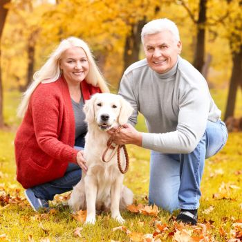 New Studies on Alzheimer’s Disease and the Eyes