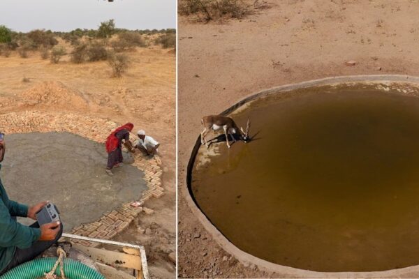 How Sharvan Patel Revived Rajasthan’s Wildlife with Khailis Ponds