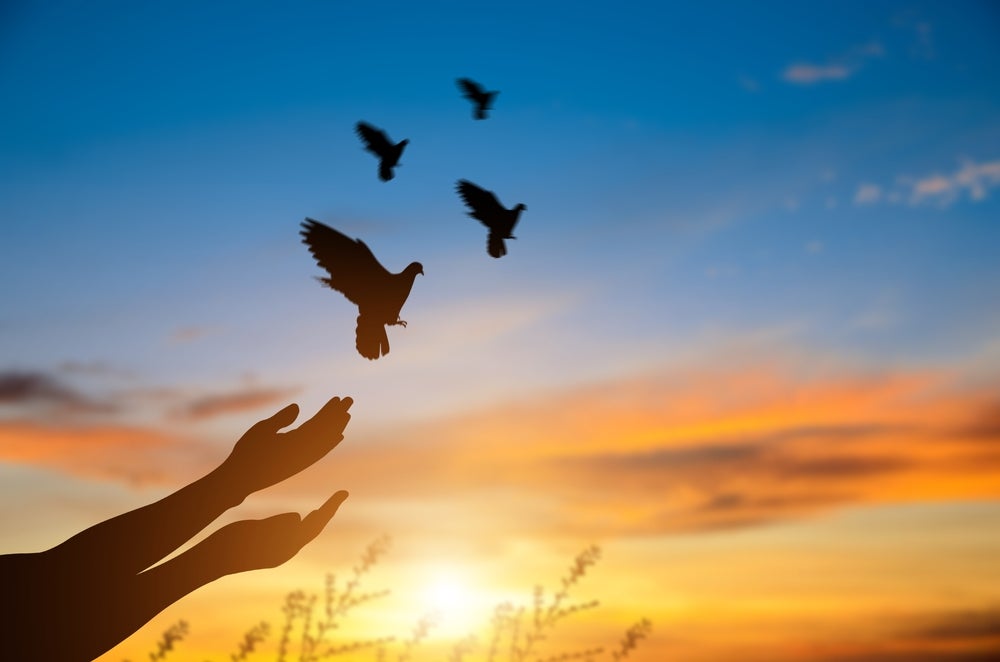 Bluebird bio flies to pastures new with Genetix rebranding