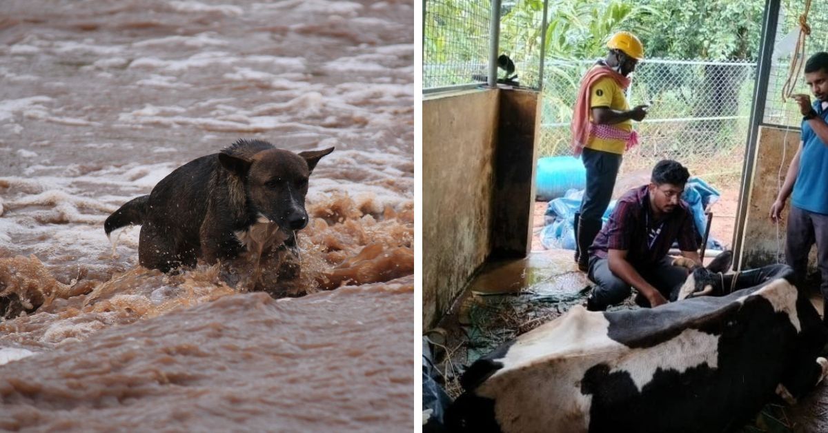 India’s First Animal Evacuation Shelter Comes Up in Kerala’s Wayanad