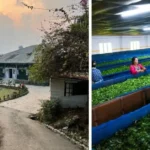 8 Best Tea Plantation Homestays in India for a Relaxing Getaway