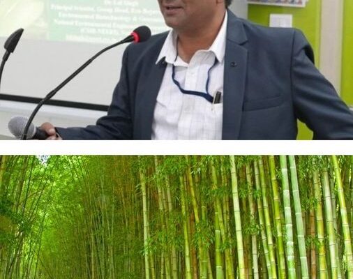 How This Scientist is Reviving Polluted Land in Maharashtra