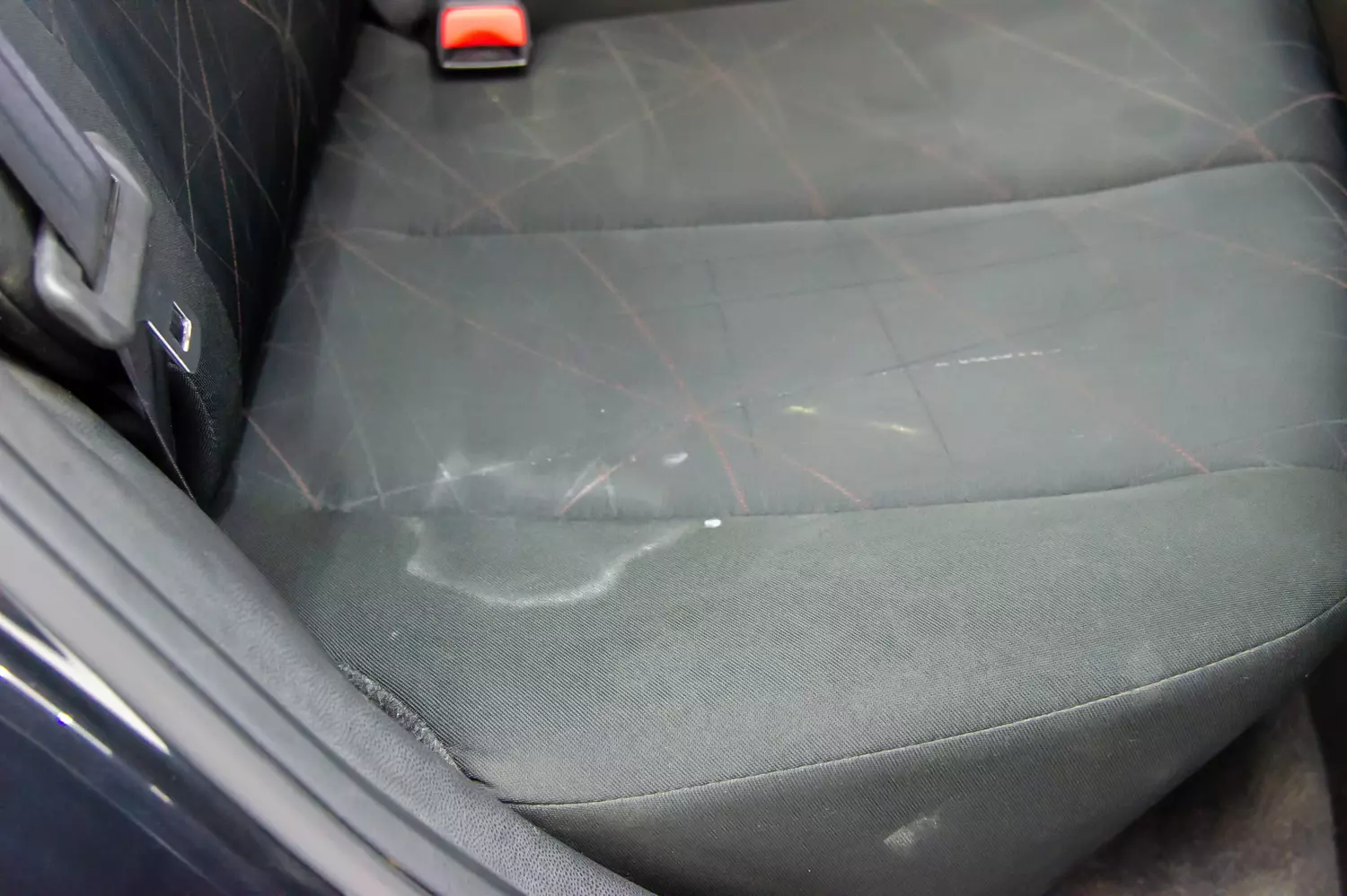 Just a few spoonfuls of this powder are enough, every stain on car seats disappears without scrubbing
