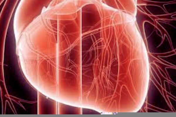 Obicetrapib Improves Lipid Profile and Reduces Cardiovascular Events, Suggests Study