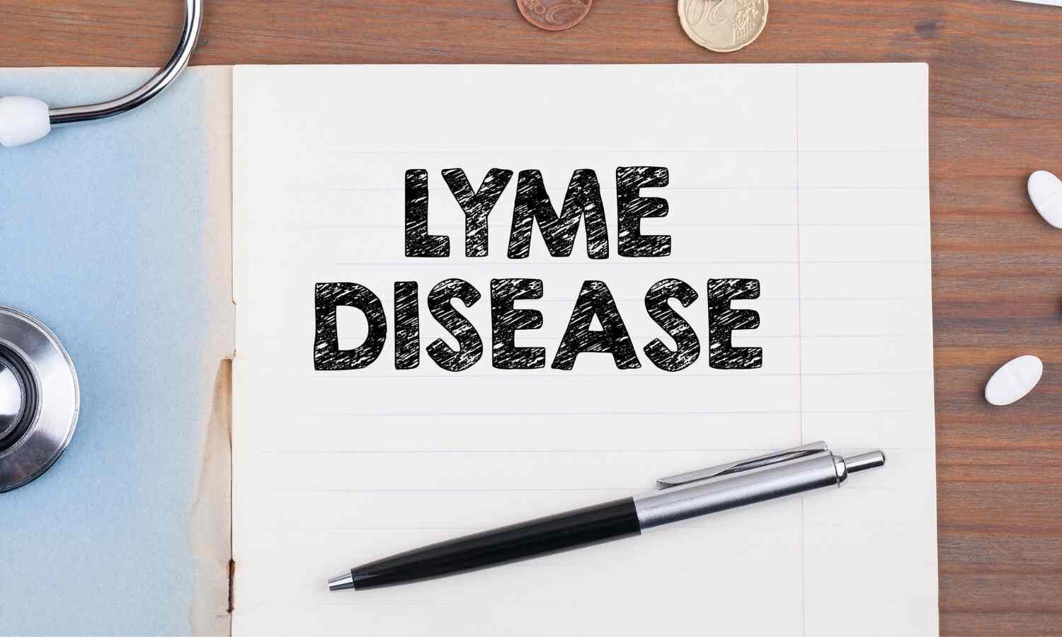 Lyme disease confirmed in Himachal Pradesh; 17 test positive