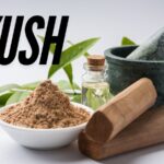 AYUSH Ministry launches DRAVYA portal to catalogue 100 medicinal substances