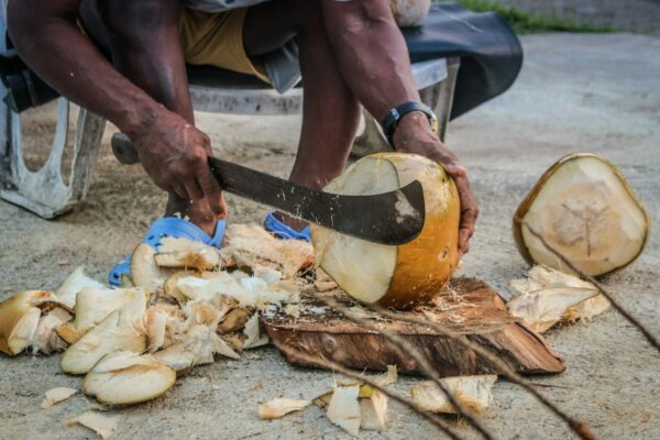 How to open a coconut ?
