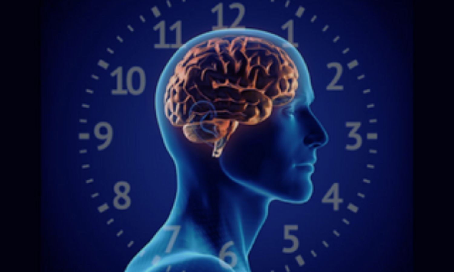 Circadian Syndrome Outperforms Metabolic Syndrome in Predicting Early Death: Study Shows