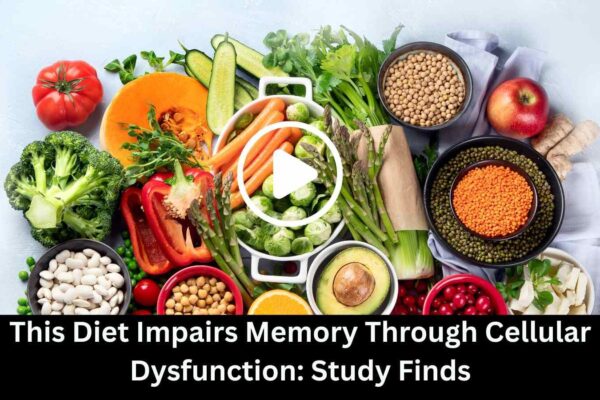 This Diet Impairs Memory Through Cellular Dysfunction: Study Finds