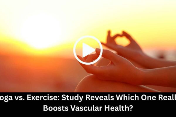 Study Reveals Which One Really Boosts Vascular Health?