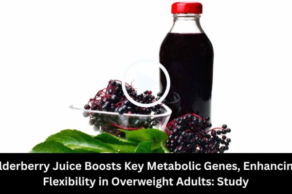 Elderberry Juice Boosts Key Metabolic Genes, Enhancing Flexibility in Overweight Adults: Study Finds