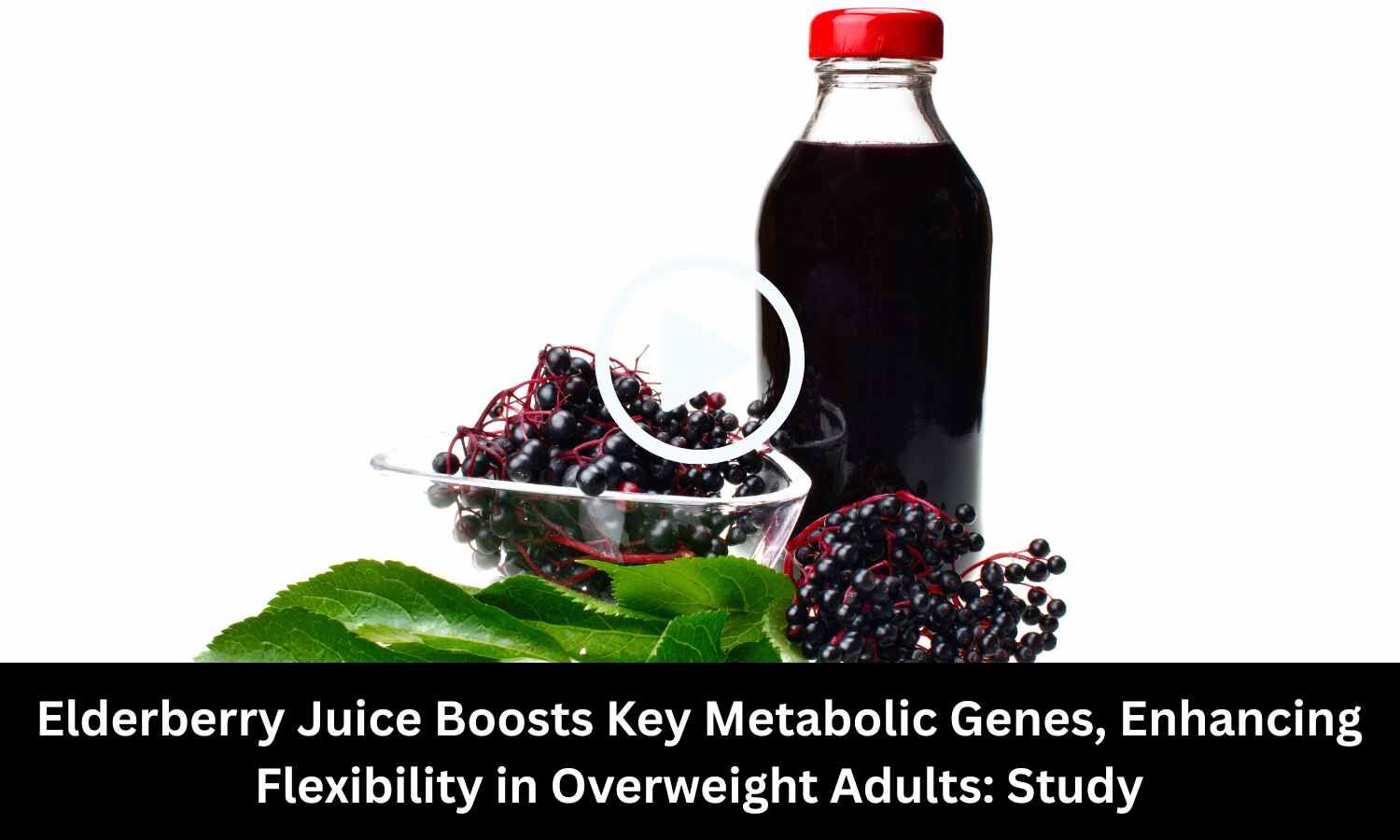 Elderberry Juice Boosts Key Metabolic Genes, Enhancing Flexibility in Overweight Adults: Study Finds
