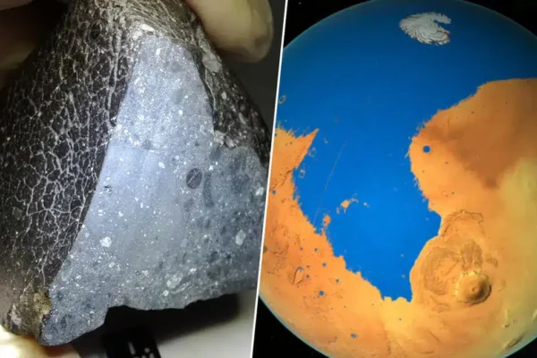 In 2011, a collector bought a meteorite in Morocco, it turned out to be direct evidence of thermal water on Mars.