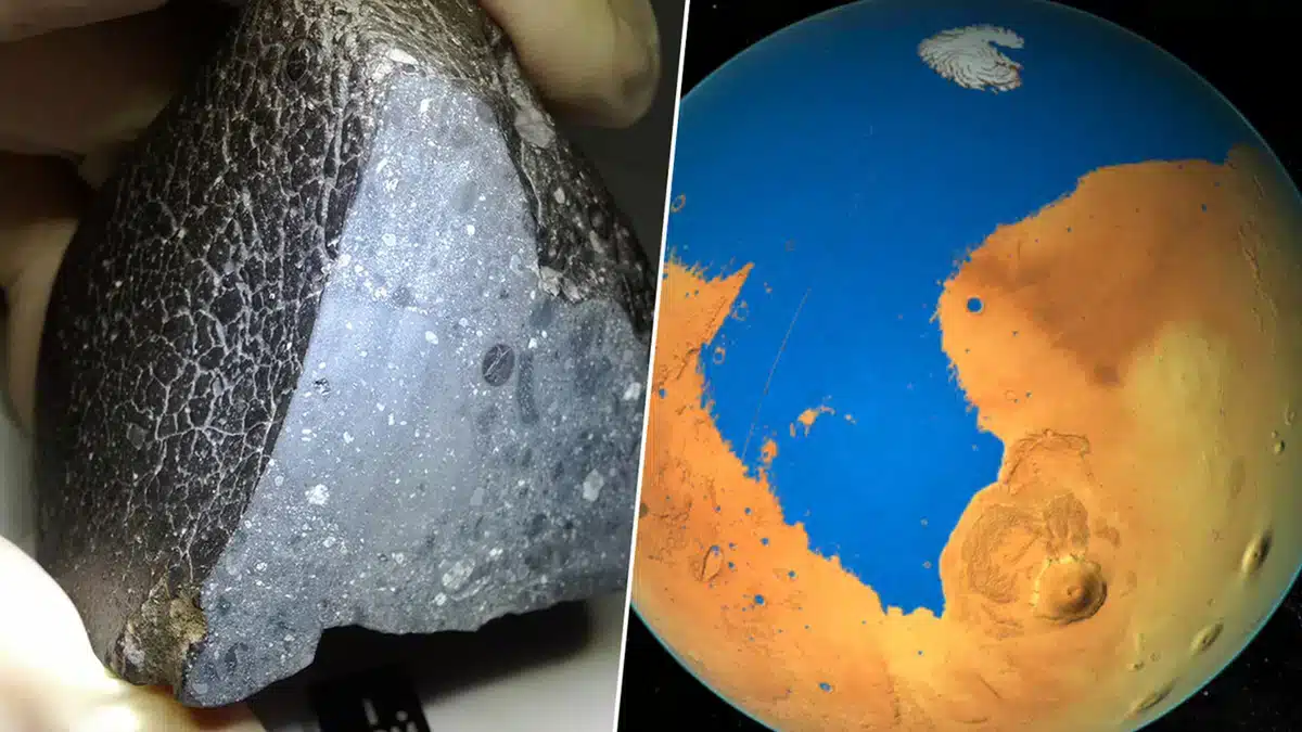 In 2011, a collector bought a meteorite in Morocco, it turned out to be direct evidence of thermal water on Mars.