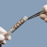 Eli Lilly, Sarepta, Pfizer, Medicare, Novo: Readout Newsletter