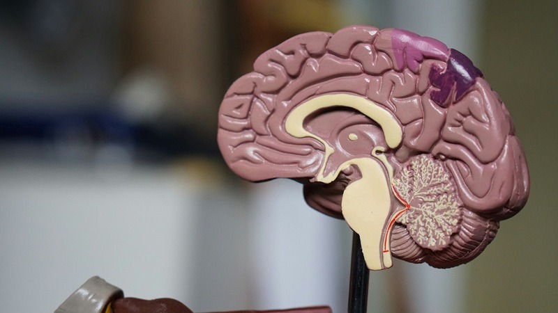 Nilo Therapeutics raises 1m to develop neural circuit therapies