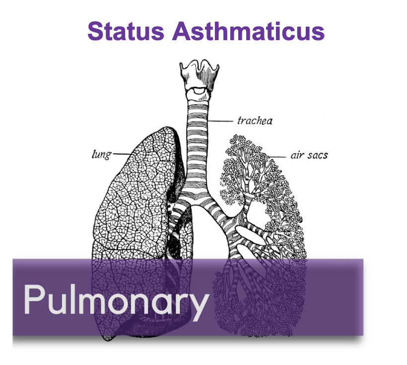 Status Asthmaticus — NUEM Blog