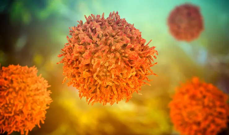 Immune reset: How T cell engagers can change the autoimmune treatment landscape