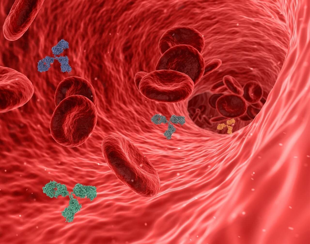 How Omega-3 Fights Inflammation Naturally — Latest 2025 Research Explained