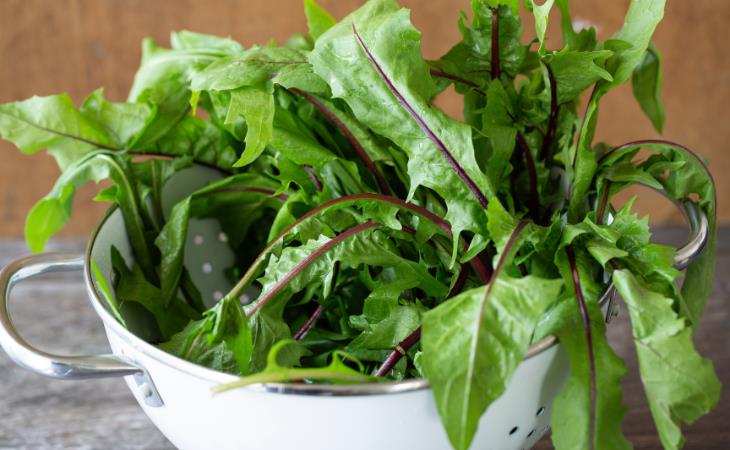 These are the essential foods for the gut system