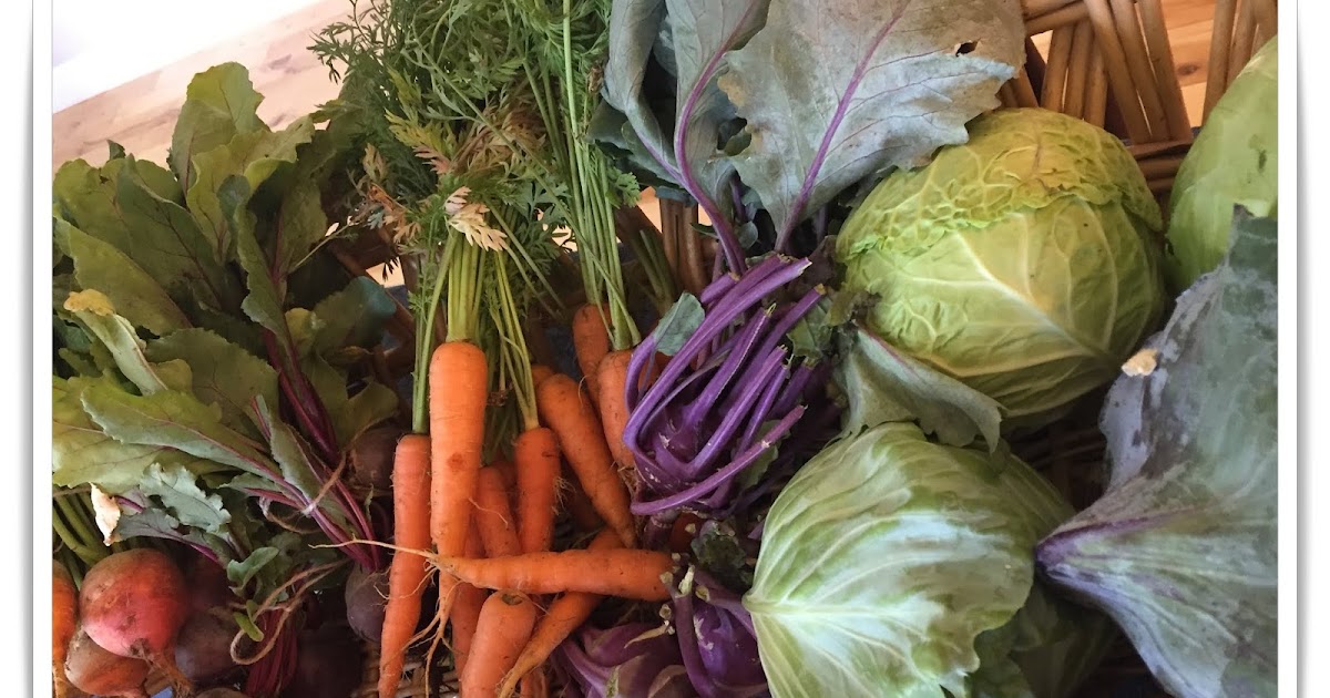 October Garden & Yard Chores