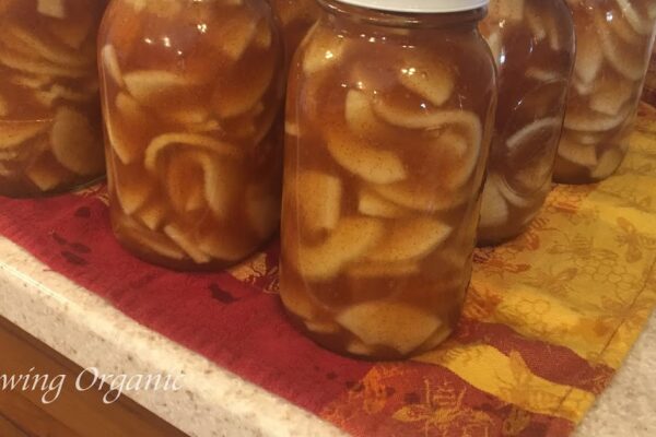 Canning Apple Pie Filling