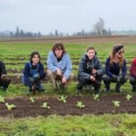 Cultivating the Future with the Help of an OGC Mission Fund — Organically Grown Company