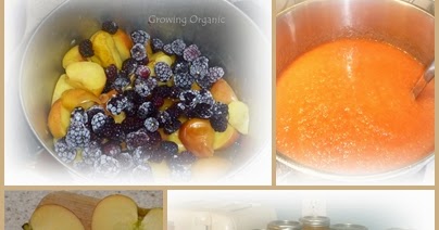 Blackberry, Strawberry, Raspberry & Spicy Applesauce!