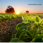 The Hidden Allergen No One Talks About